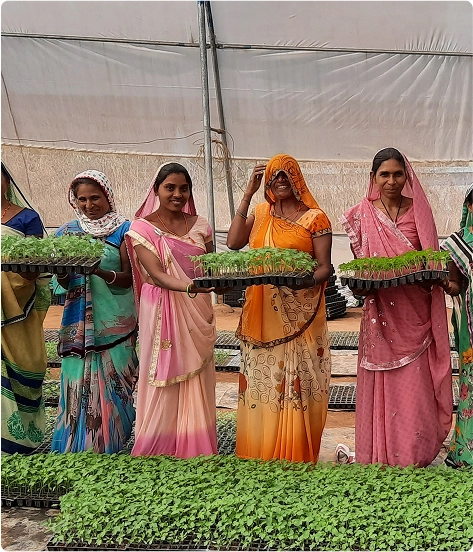 Drinking Water Schemes